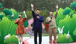 平安大爷最新爆料视频,最新爆料视频深度解析