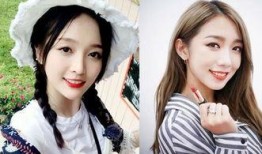 美岐爆料小甜豆视频下载,揭秘甜蜜瞬间